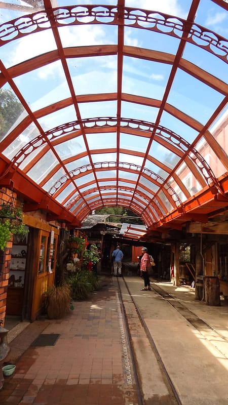 Day_11_Coromandel_Peninsula_II (4 of 21)