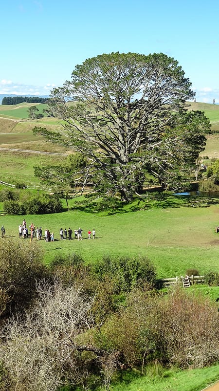 Day_12_Hobbiton (10 of 22)