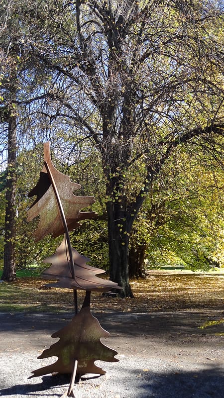 Day_19_Kaikoura2Christchurch (18 of 31)