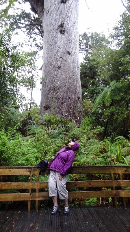 Day_9_KauriCoast (2 of 7)