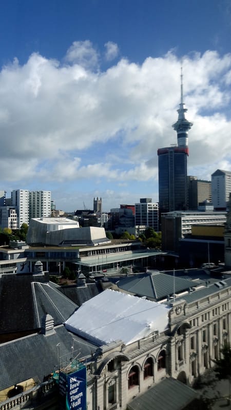 Day_9_KauriCoast (7 of 7)