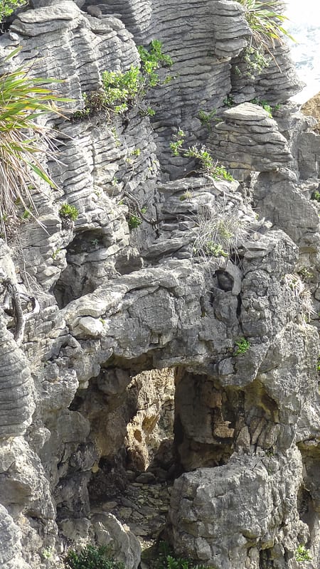 Day_20_Christchurch2Punakaiki (10 of 23)