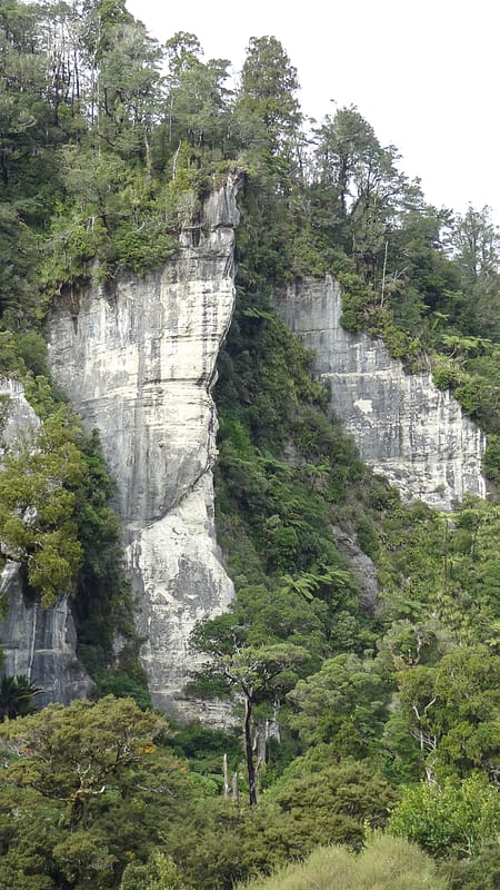 Day_20_Punakaiki II (5 of 16)