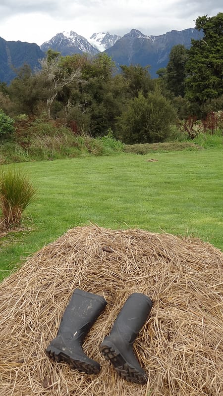 Day_23_FoxGlacier (11 of 21)