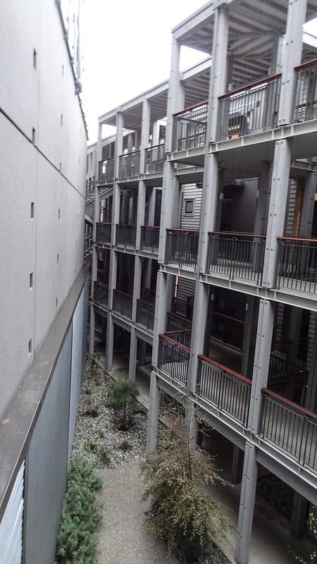 Day_24_FoxGlacier2Queenstown (12 of 19)