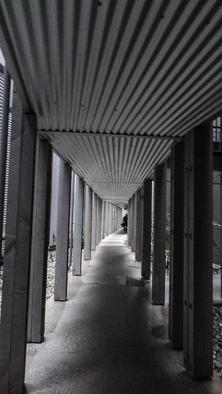 Day_24_FoxGlacier2Queenstown (14 of 19)