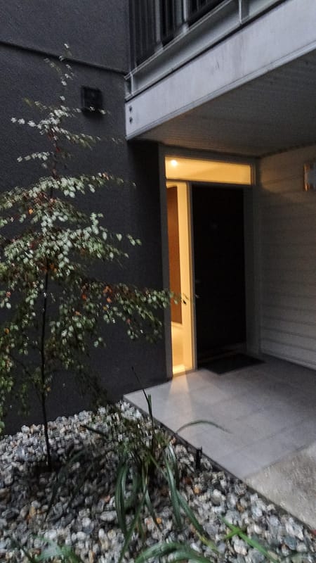 Day_24_FoxGlacier2Queenstown (15 of 19)