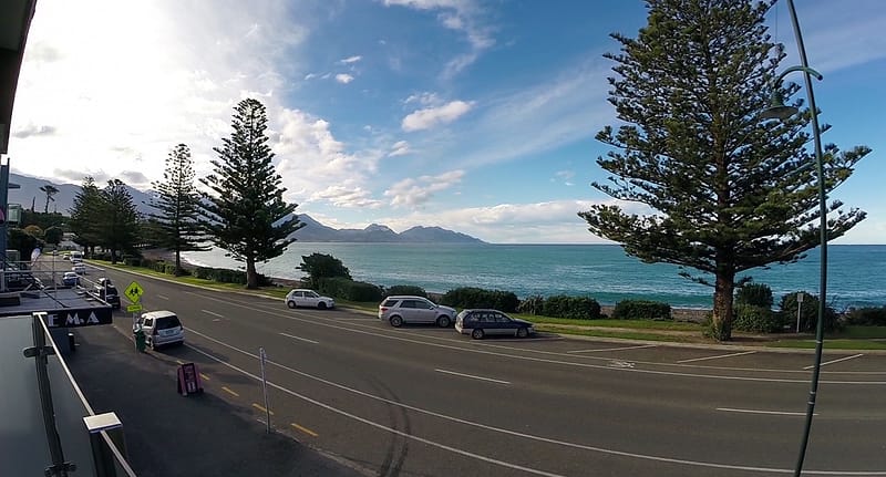 Day_17_Kaikoura (10 of 13)