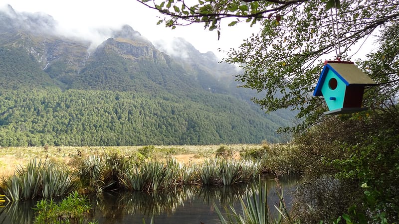 Day_25_Queenstown-Milford (4 of 22)