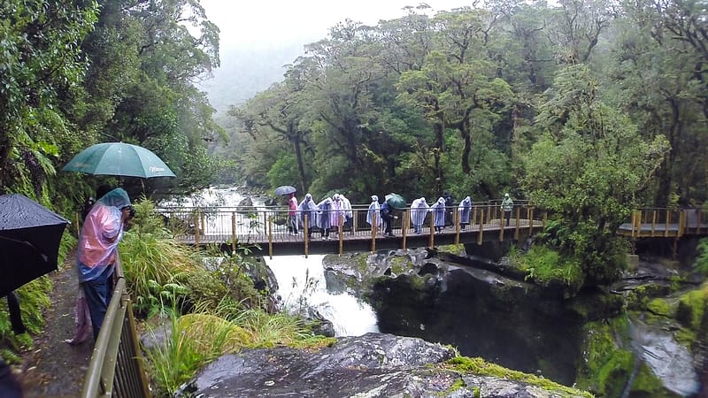 Day_25_Queenstown-Milford (6 of 22)