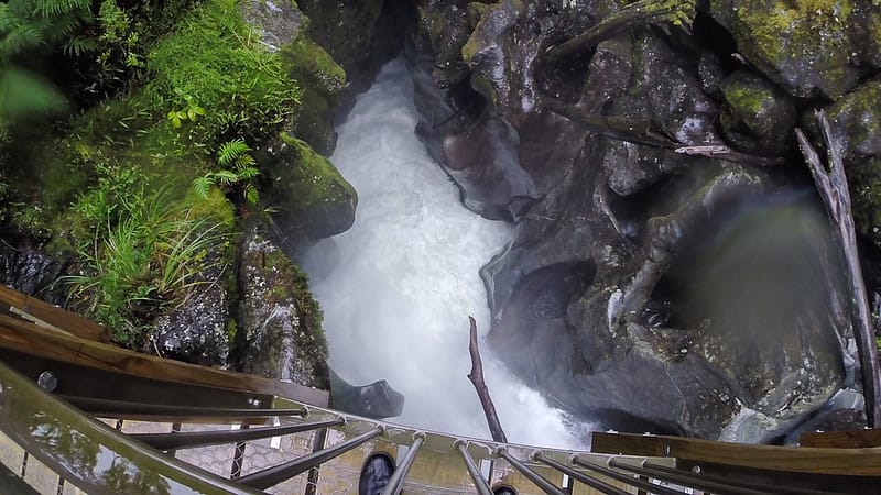 Day_25_Queenstown-Milford (8 of 22)