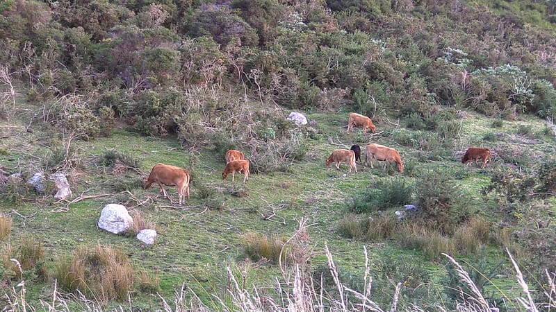 Day_11_Coromandel_Peninsula_II (12 of 21)