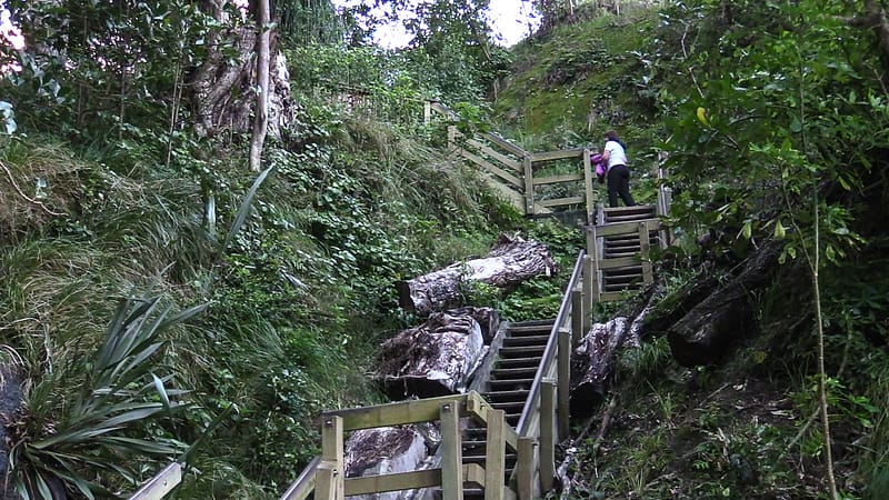 Day_11_Coromandel_Peninsula_II (21 of 21)