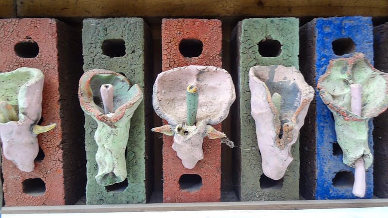 Day_11_Coromandel_Peninsula_II (6 of 21)