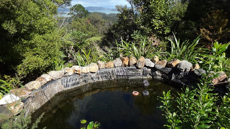 Day_11_Coromandel_Peninsula_II (7 of 21)