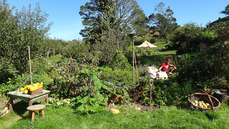 Day_12_Hobbiton (2 of 22)