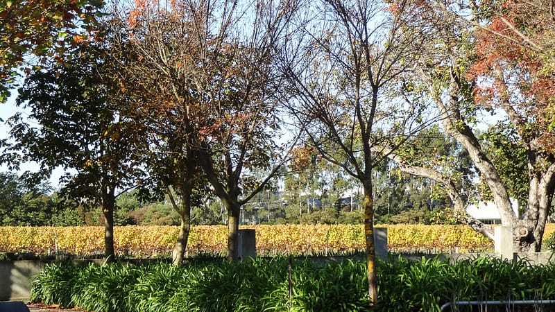 Day_14_Wellington-Picton (11 of 18)