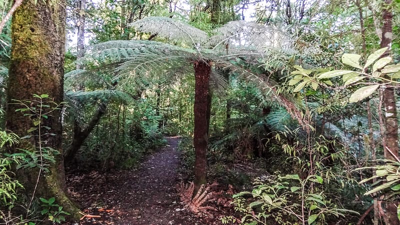 Day_14_Wellington-Picton (17 of 18)