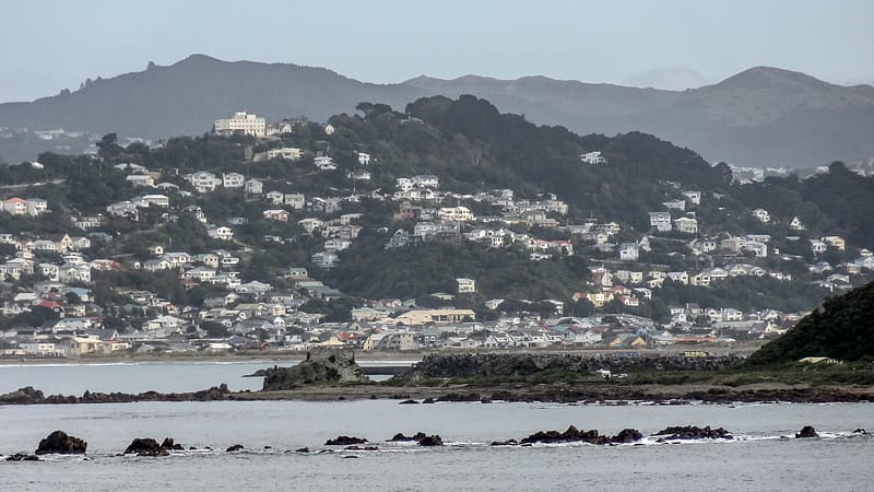 Day_14_Wellington-Picton (7 of 18)