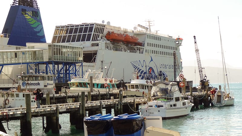 Day_14_Wellington-Picton (9 of 18)