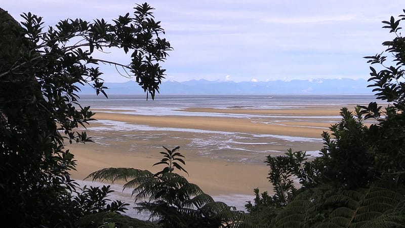 Day_16_Nelson (10 of 27)