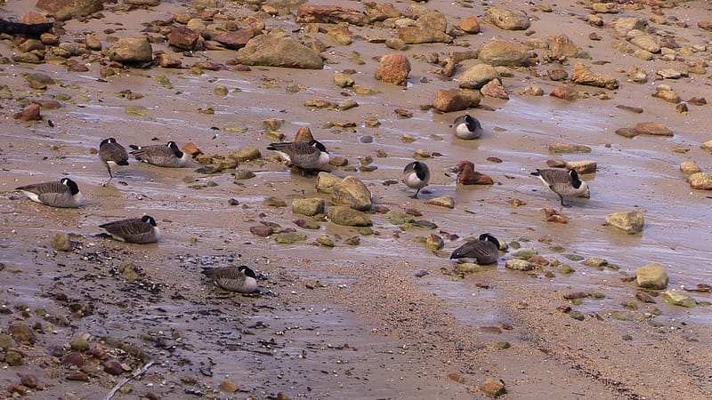 Day_16_Nelson (11 of 27)