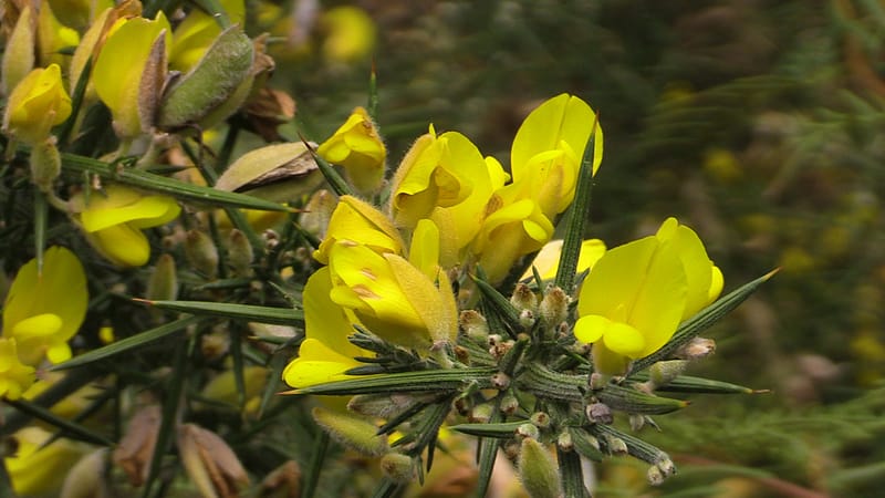 Day_16_Nelson (13 of 27)