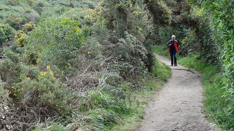 Day_16_Nelson (14 of 27)