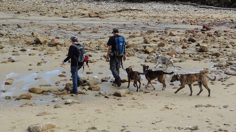 Day_16_Nelson (15 of 27)