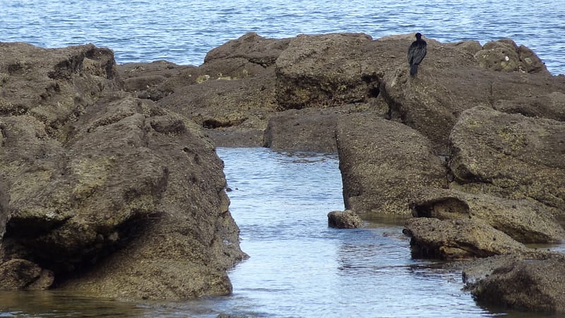 Day_16_Nelson (20 of 27)