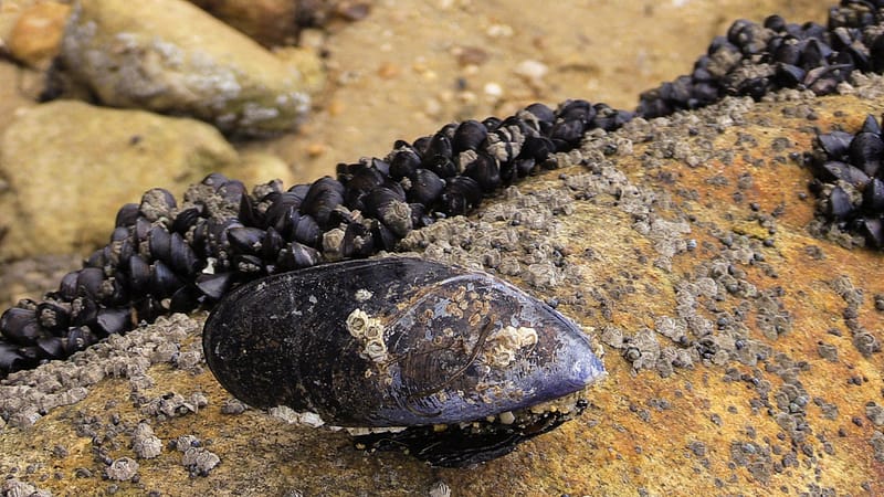 Day_16_Nelson (22 of 27)