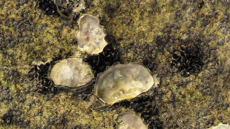 Day_16_Nelson (23 of 27)