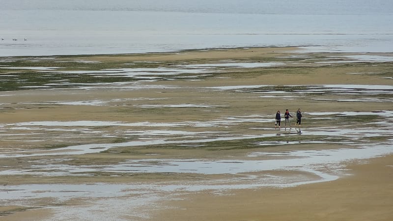 Day_16_Nelson (24 of 27)