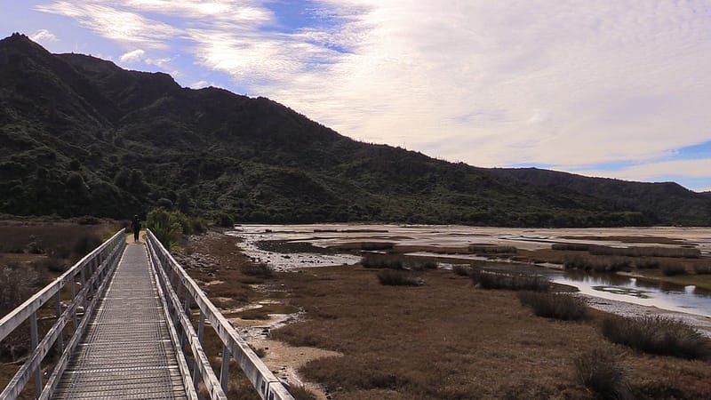 Day_16_Nelson (3 of 27)