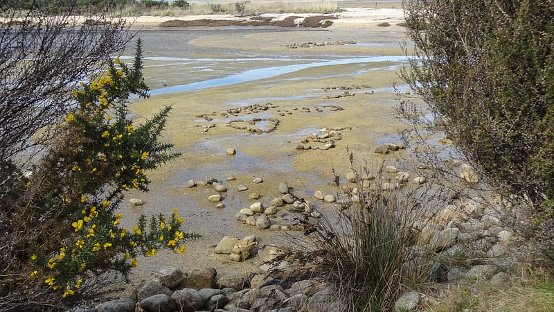 Day_16_Nelson (5 of 27)