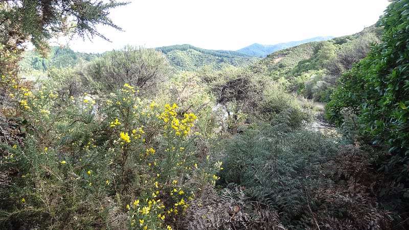 Day_16_Nelson (7 of 27)