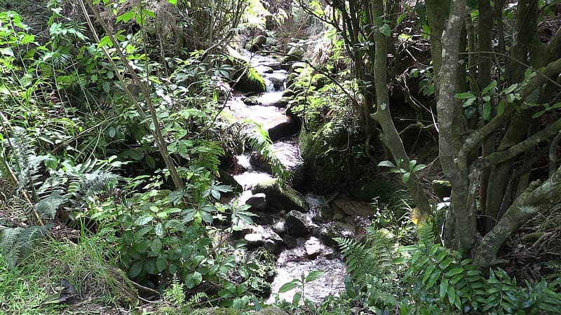 Day_16_Nelson (8 of 27)