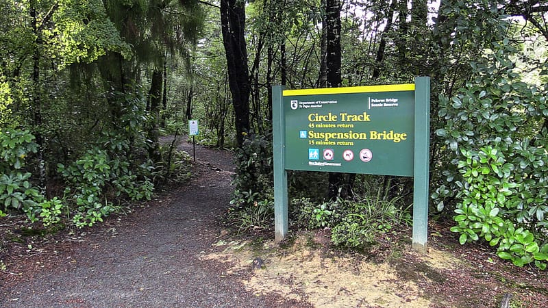 Day_17_Kaikoura (3 of 13)