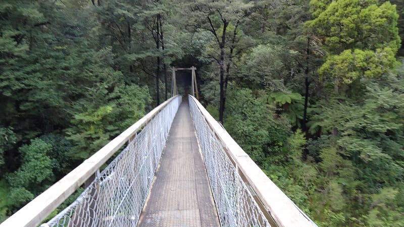 Day_17_Kaikoura (4 of 13)