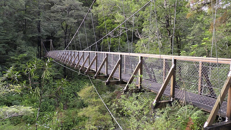 Day_17_Kaikoura (5 of 13)