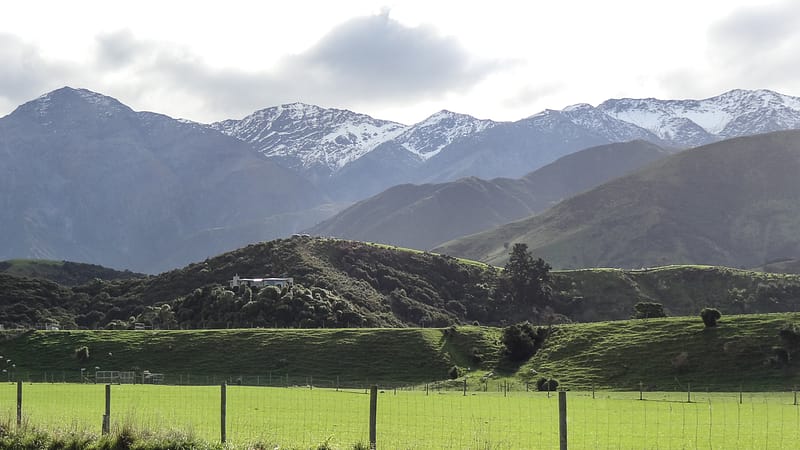 Day_17_Kaikoura (7 of 13)