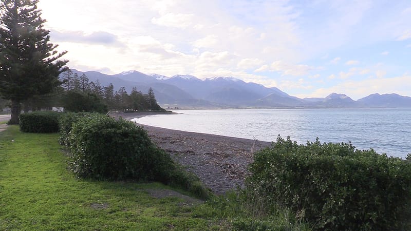 Day_17_Kaikoura (8 of 13)