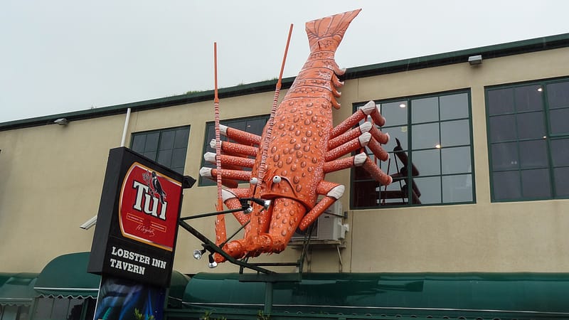 Day_18_Kaikoura2 (10 of 12)