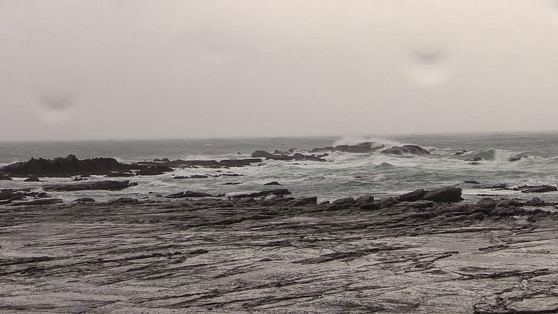 Day_18_Kaikoura2 (5 of 12)