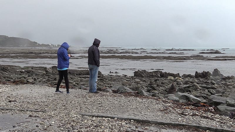 Day_18_Kaikoura2 (6 of 12)