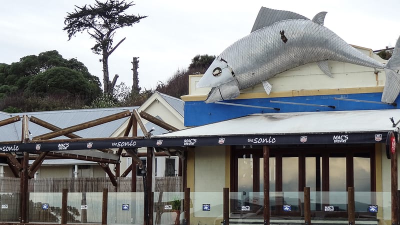 Day_18_Kaikoura2 (8 of 12)