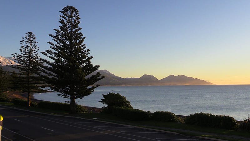Day_19_Kaikoura2Christchurch (1 of 31)