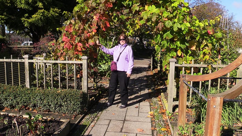 Day_19_Kaikoura2Christchurch (15 of 31)