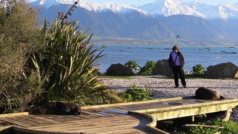 Day_19_Kaikoura2Christchurch (2 of 31)