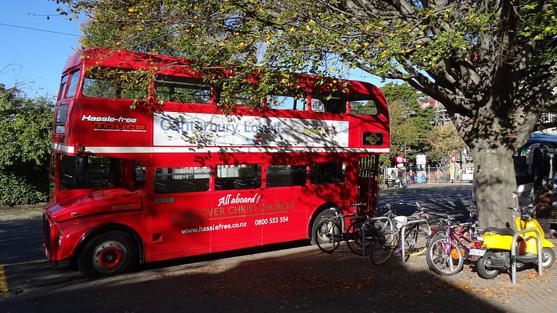 Day_19_Kaikoura2Christchurch (21 of 31)